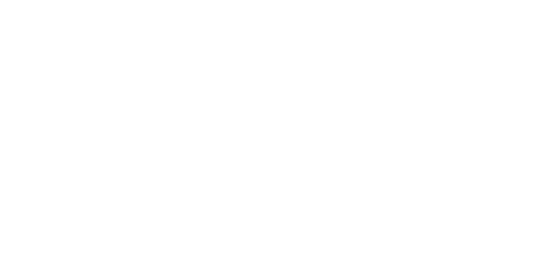 AI 20